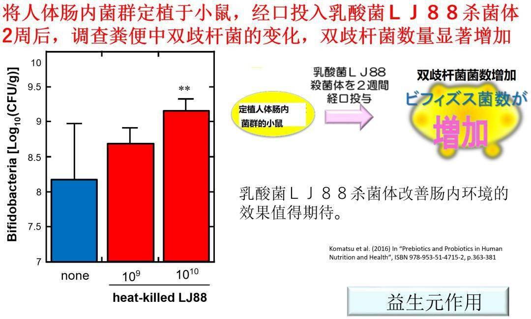 添加lj88的终端商品总结约氏乳杆菌lj88作为益生菌代谢物质,作用于