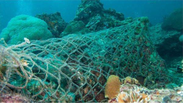 威胁|IUCN濒危物种红色名录更新，冬虫夏草首上名录