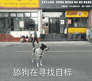 fd6e3dbb02a9454cb6f41ed776dd5821.gif