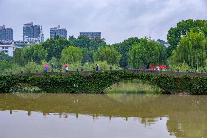 现代版|烟波浩渺！有你守护的“现代版富春山居图”更加美丽