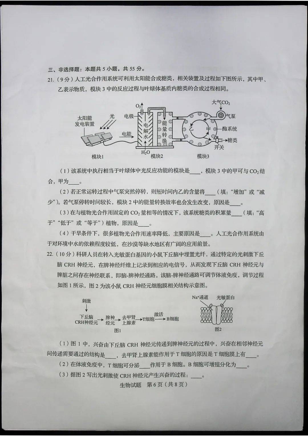 德语|2020山东高考试题和答案来了！！快来估分！