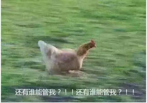 工作|放 假 通 知 ！