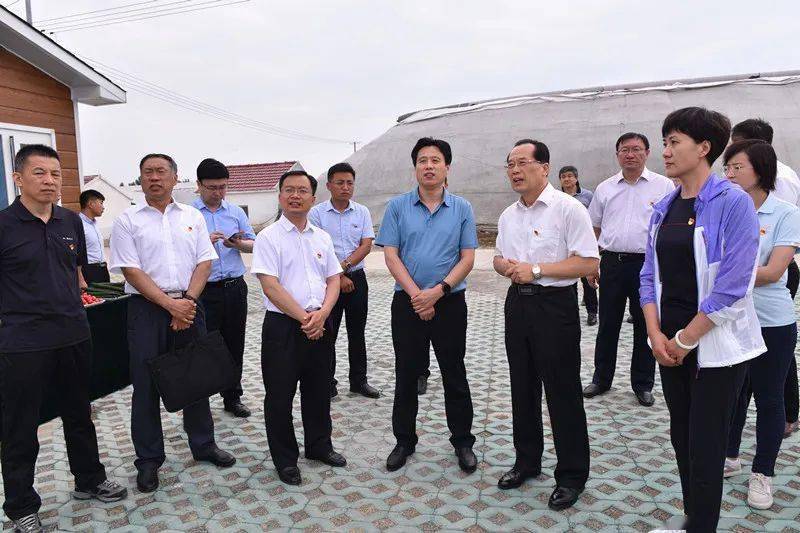 省市有关领导到五图街道看望省派昌乐县乡村振兴服务队