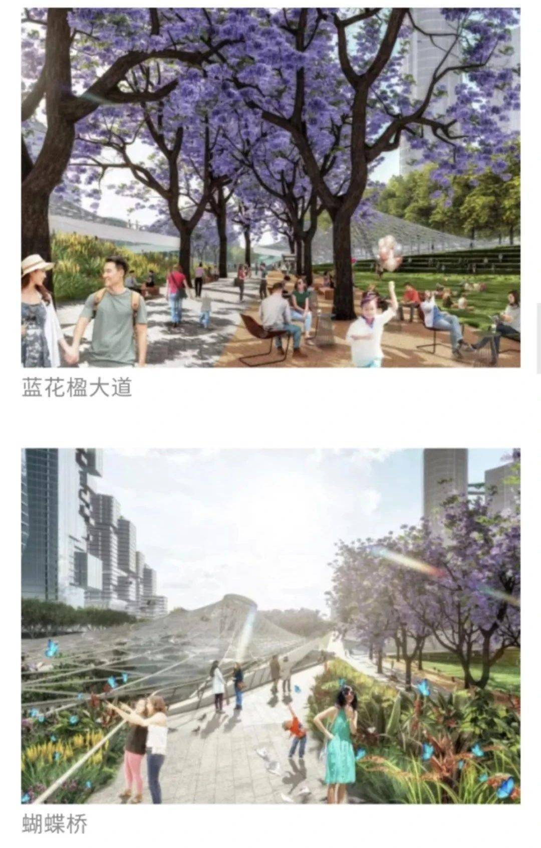 最强方案出炉!深圳湾畔这个城市新地标将变身“超级校园”?_设计的