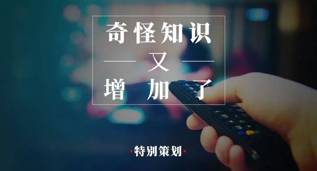 诱惑|你收到一张洪世贤与艾莉离婚十周年的邀请函，请签收