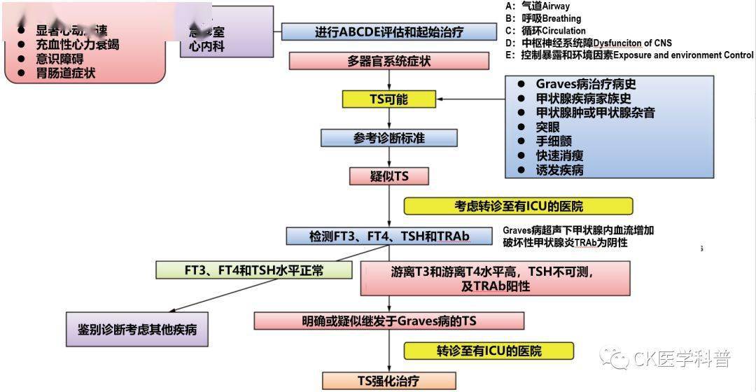 甲状腺危象诊断和处理流程