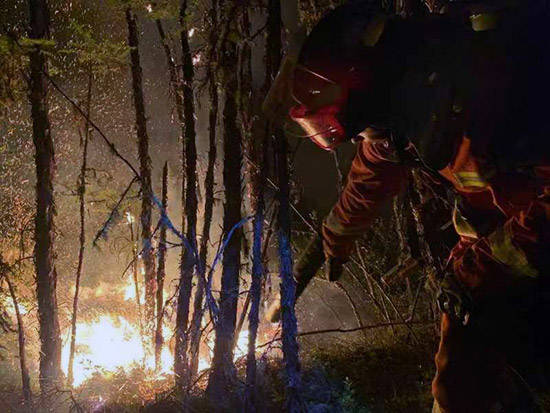 林区|内蒙古大兴安岭林区12日发生13起雷电森林火灾 已合围扑灭11起2起得到有效控制