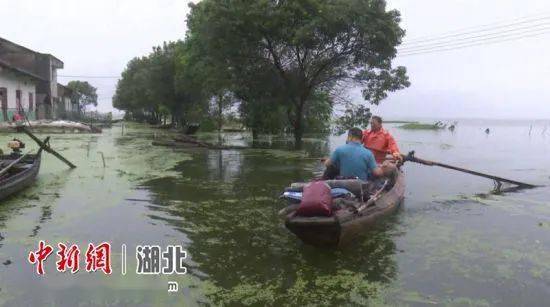 沙洋县有多少人口