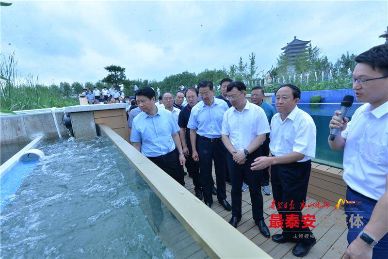 泰安市泮河入汶河口东北侧,徂汶景区大汶河流域泮河(天泽湖)人工湿地