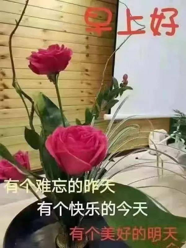 夏季清晨最温馨的问候语文字图片送给朋友,祝福您快乐