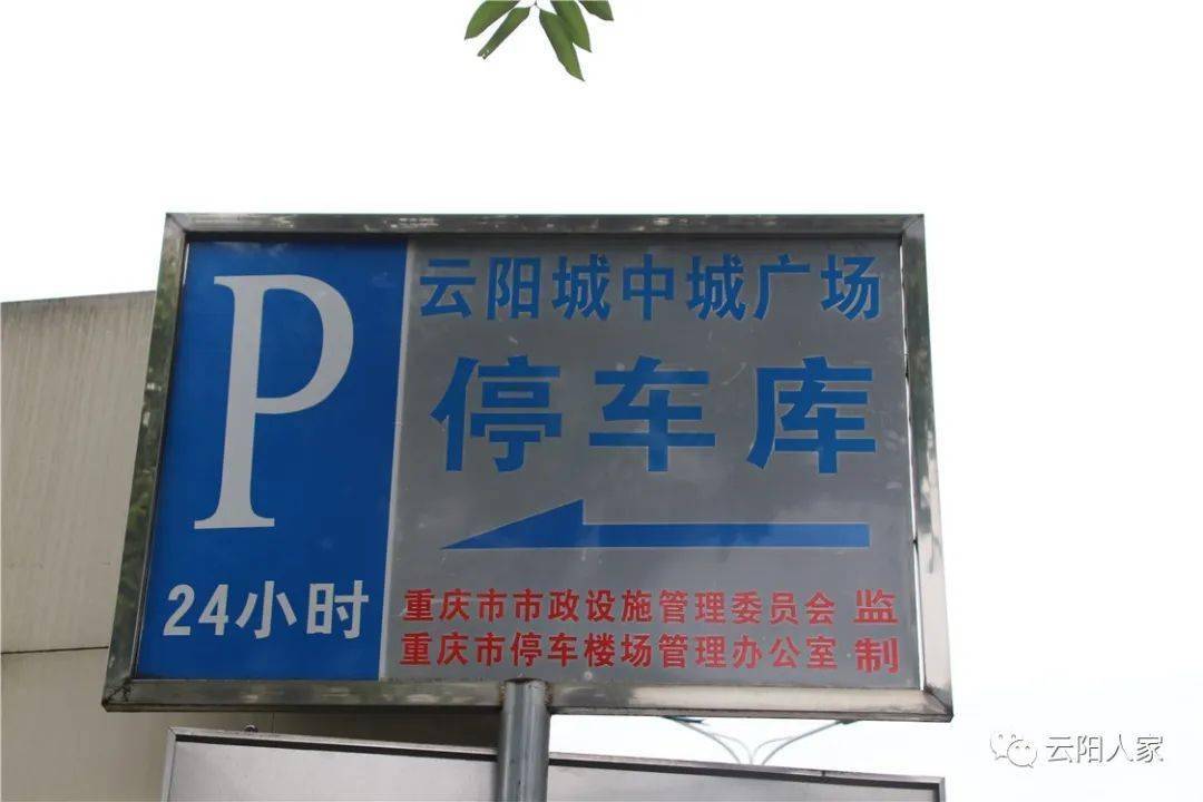 02101aaf523a44c6b869936443a0ea7c.jpeg
