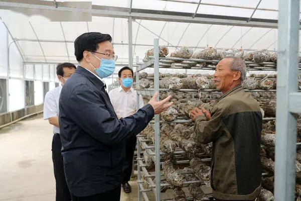 舞阳gdp_舞阳一高校花照片(2)