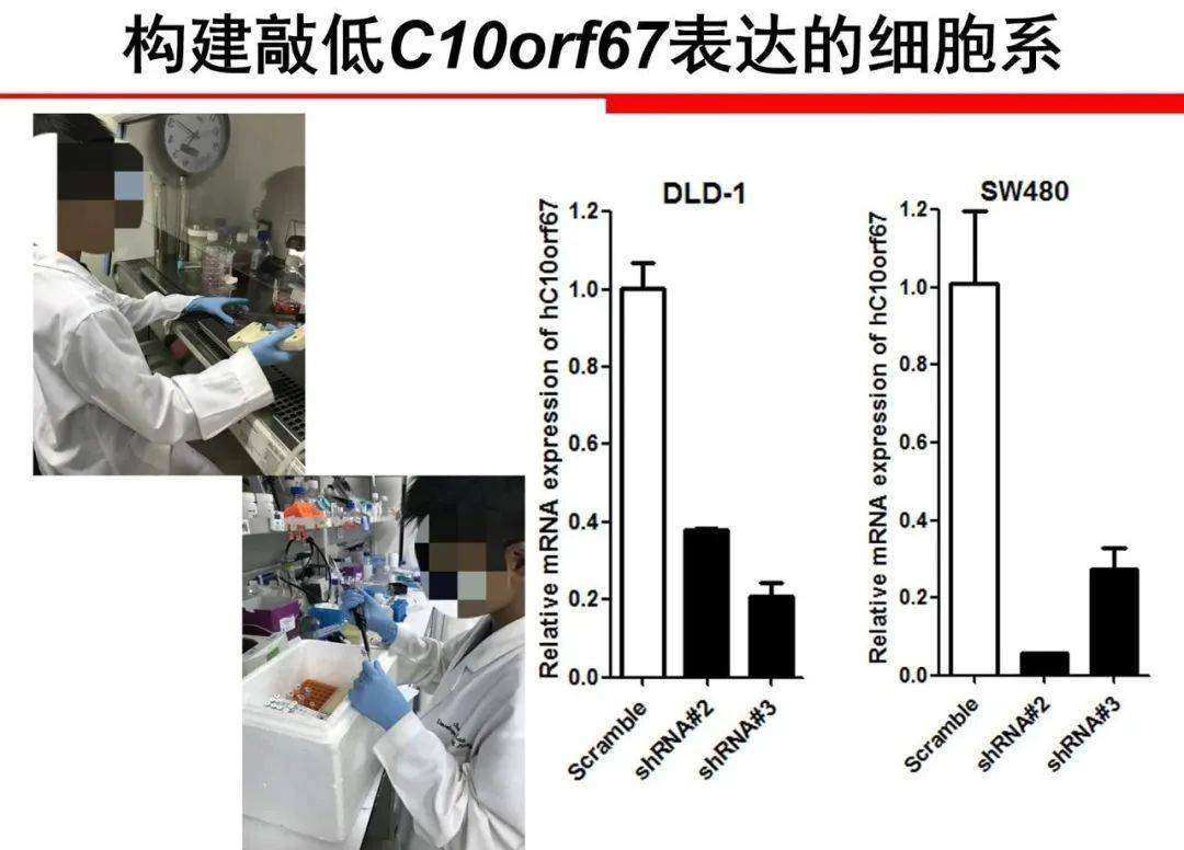 研究|“小学生凭基因研究获大奖”，有多少博士父母的“功劳”？