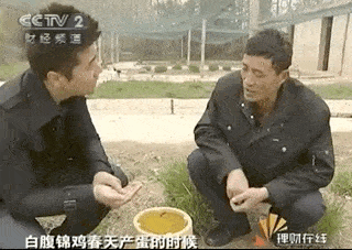 两年都不下一个蛋,我帮你下行么,大哥? 鸡不下蛋,人就得完蛋.