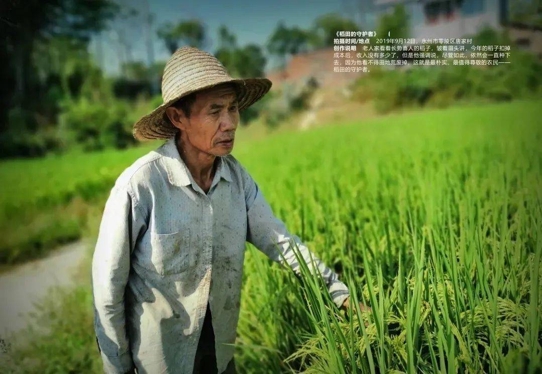 天地"粮"心—第三届"湖南好粮油行动"学生手机摄影大赛