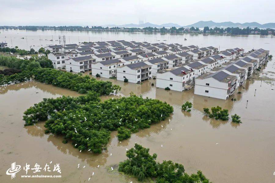 清丰县仙庄镇河里赵村有多少人口_清丰县单拐村图片