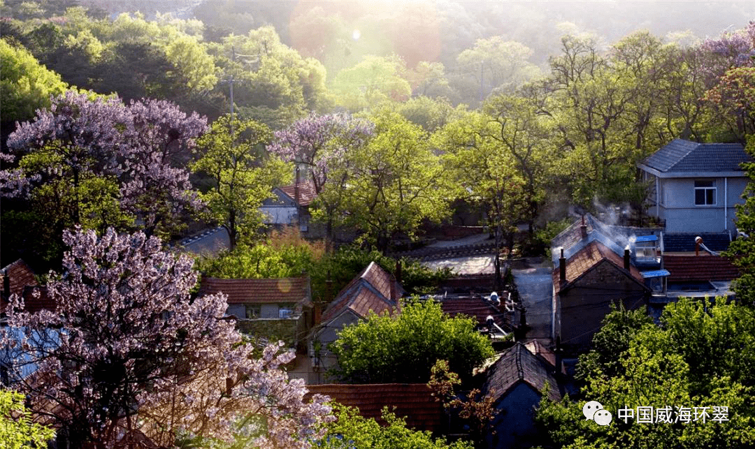 济南市南部山区西营街道黄鹿泉村 菏泽市巨野县核桃园镇前王庄村 泰安