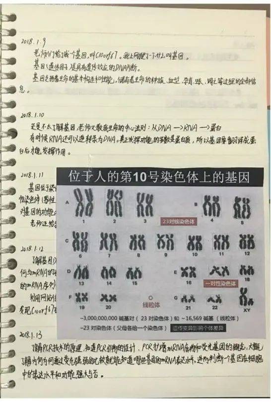 小学生研究癌症获全国大奖？官方最新回应