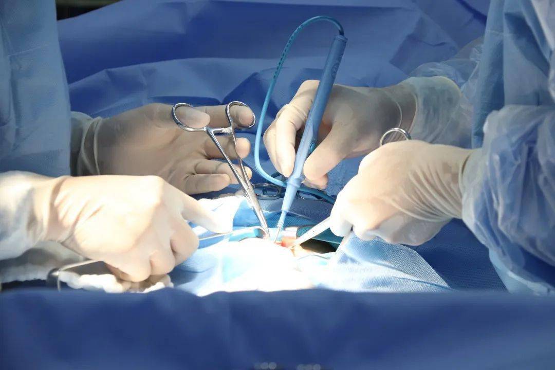 医院外科在巩固原有胆囊切除术,胃大部分切除术(毕ii式,泌尿系结石术