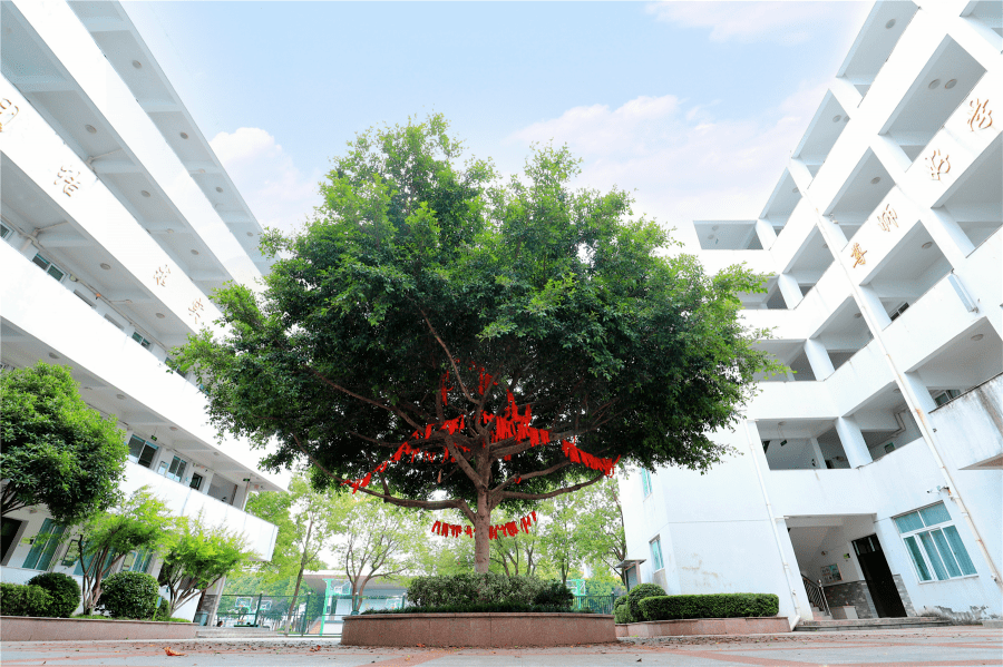 通化二极管供应商价格比较