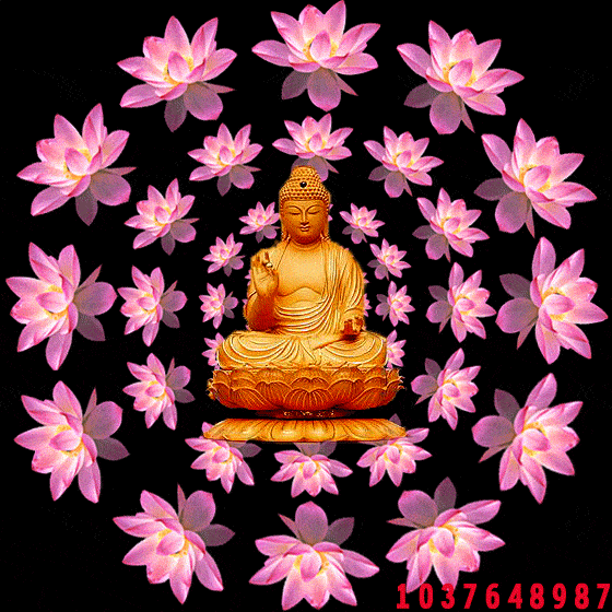 祝福你在三伏天里 冬有三九,夏有三伏 你有问候,我有祝福 工作顺利