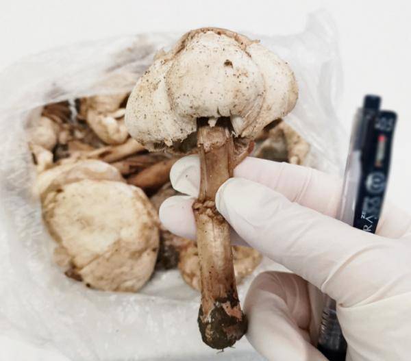 治疗|浙江男子不听妻子劝阻，非要做这个危险动作！结果……