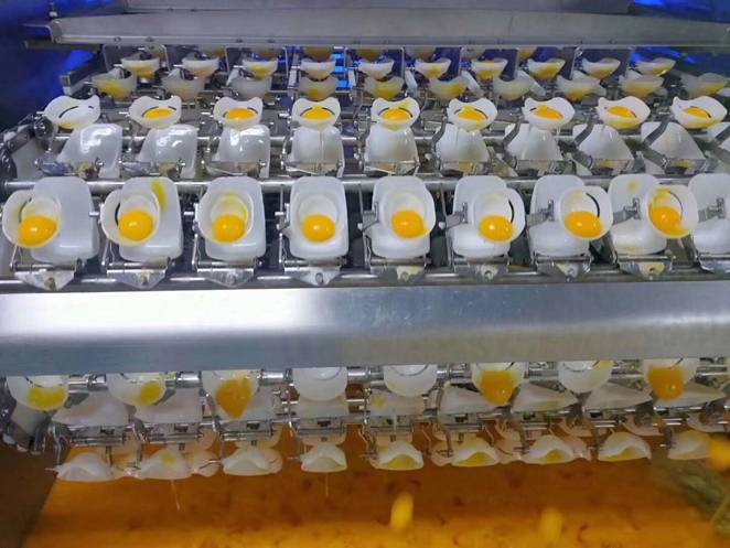 疫情|当代集团艾路明:以市场的力量推动社会经济复苏