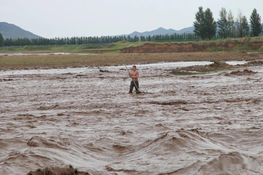 大方雨冲镇人口_微信头像简单大方(3)