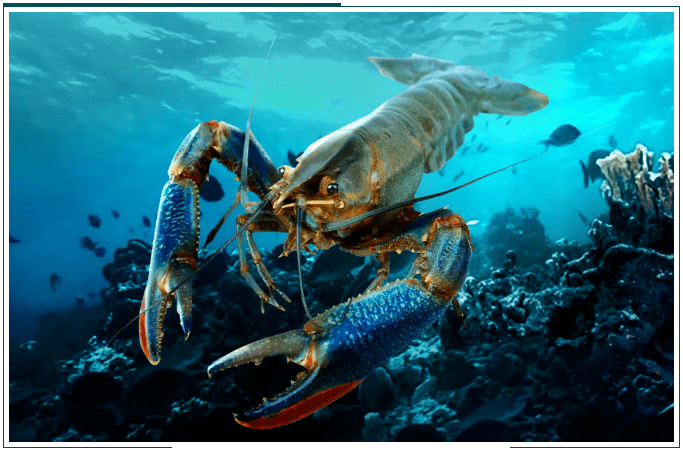 面膜|少女肌？治愈力？女团C位凭什么