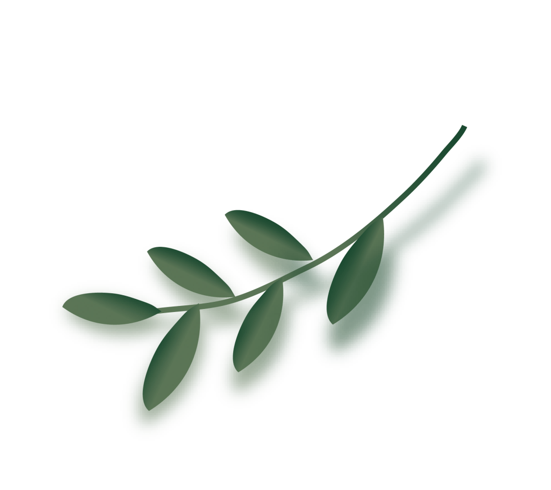 年9月全国大学英语四 六级考试报名通知 考生