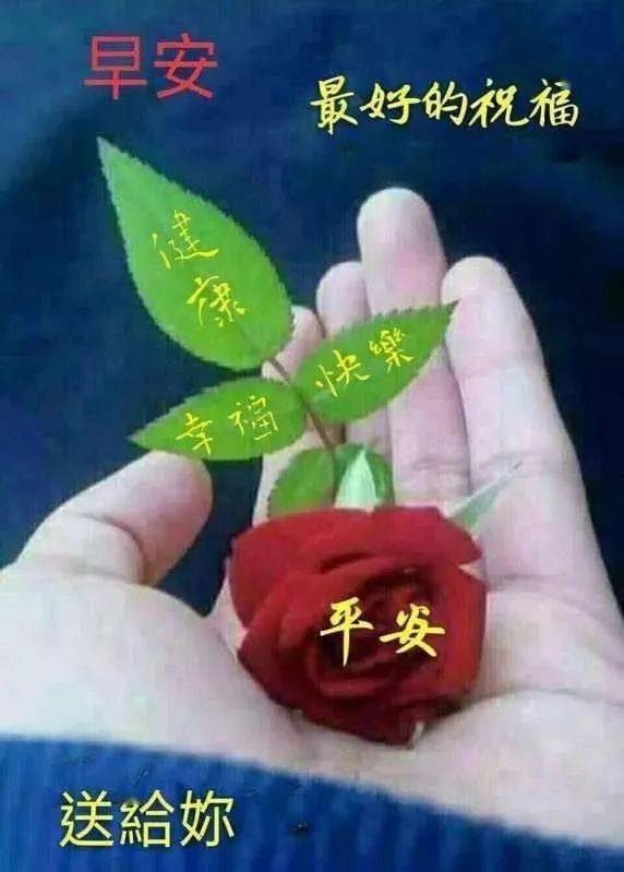 7月16日周四入伏清晨早上好问候祝福动态表情图片 三伏天最新早安问候