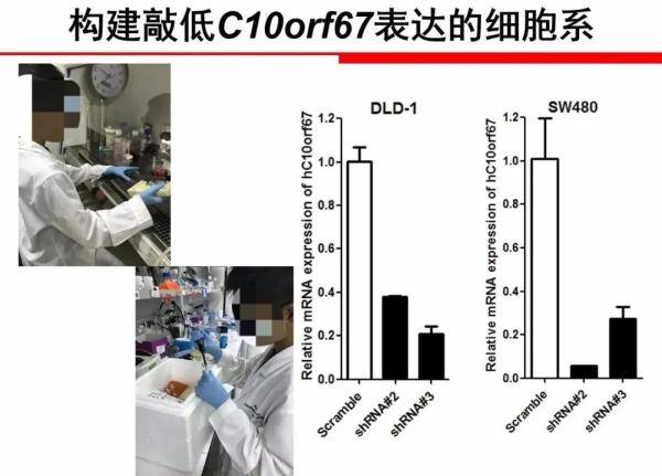 青少年|“神童”获奖是怎么“评”出来的？该彻底清理青少年科创大赛乱象了