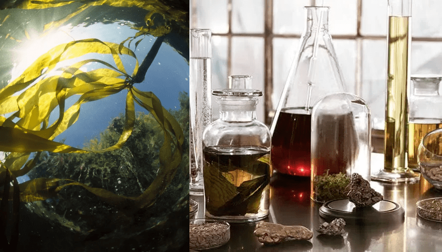 Mer|大牌捡漏啦!买海蓝之谜,只要99块!!