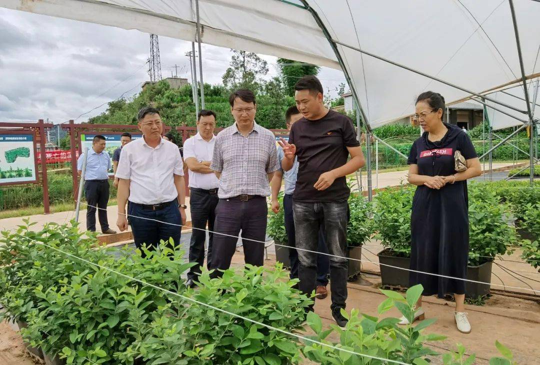 省纪委监委党风政风监督室副厅长级主任余民一行到我县调研