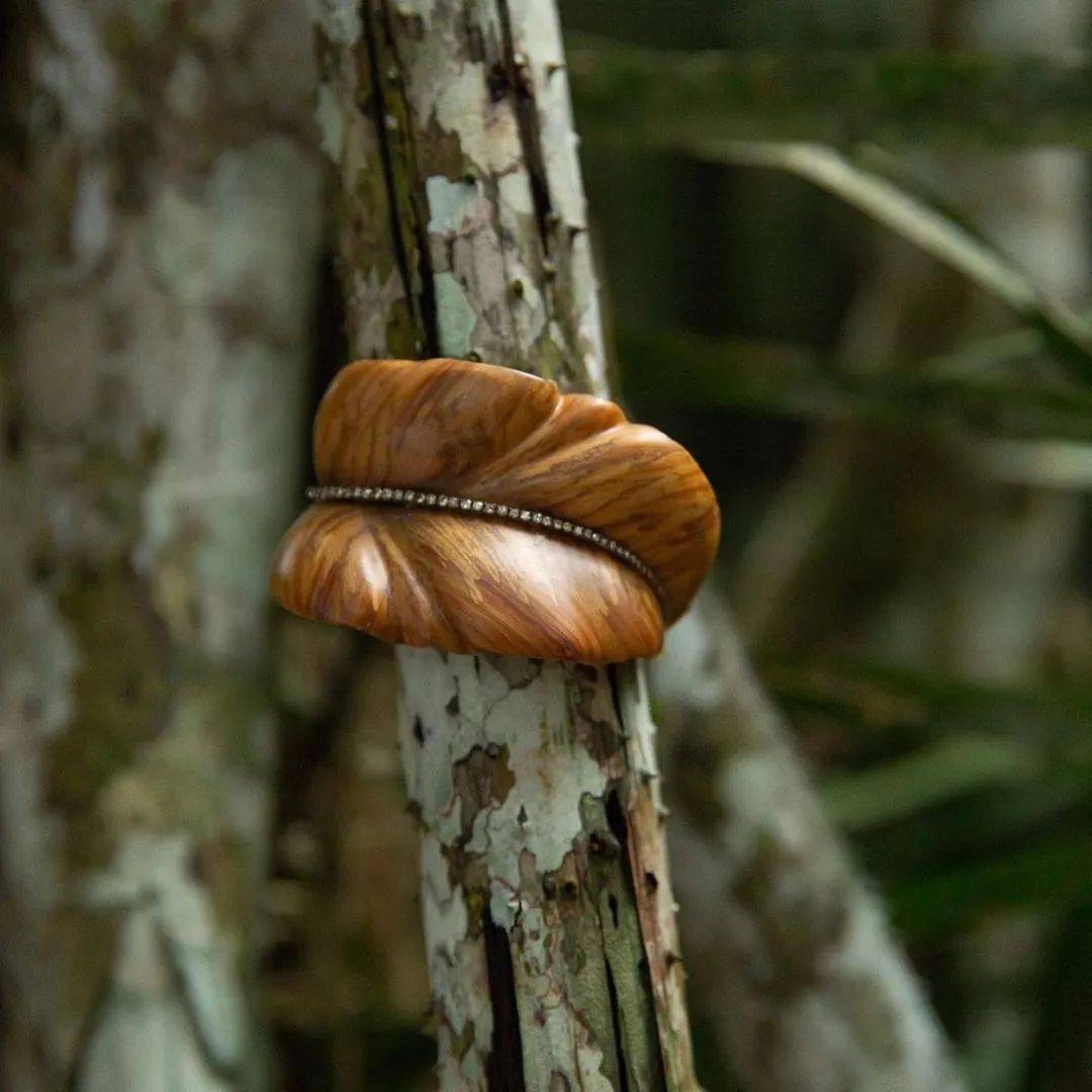 珠宝|连99%的珠宝人都没见过的珠宝——Silvia Furmanovich