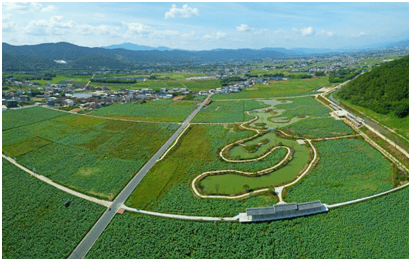 蕉岭县三圳镇九岭村