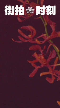 vaccarello 【他从画中来】 专题大片 