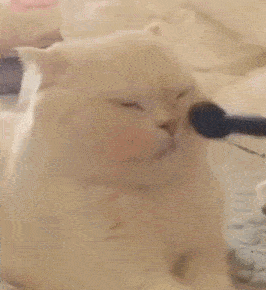 脸型|测评｜石原里美凭什么被封为亚洲最美面孔？少了这个恐怕不行！