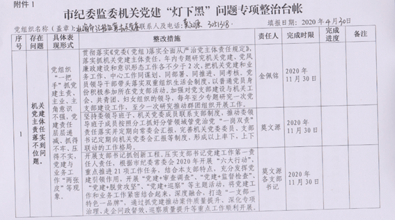 机关工委选派专职党务干部参与市委巡察,针对巡察反馈突出问题,与市委