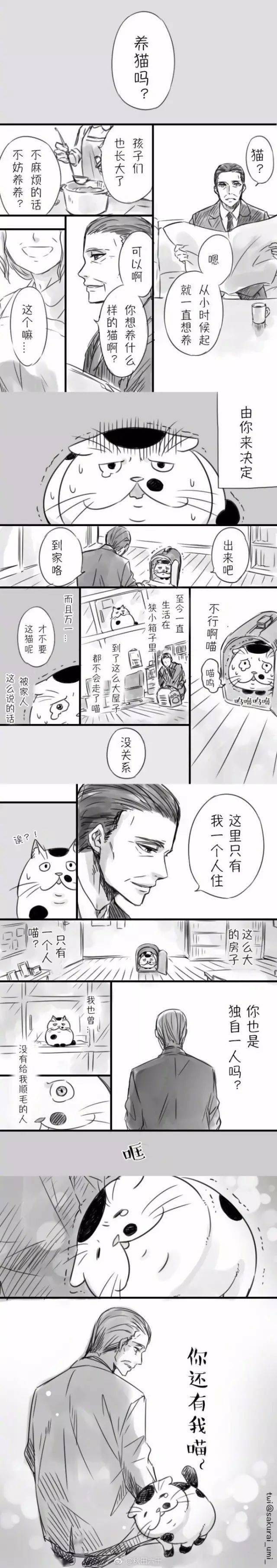 《大叔与猫=一吨眼泪
