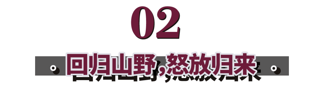 露点|宝姐：春晚露点爆红后，她却回村当村姑？归来仍是铿锵玫瑰！