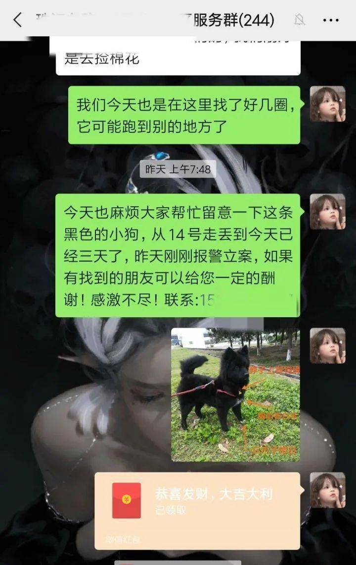 狗狗跑丢了怎么办