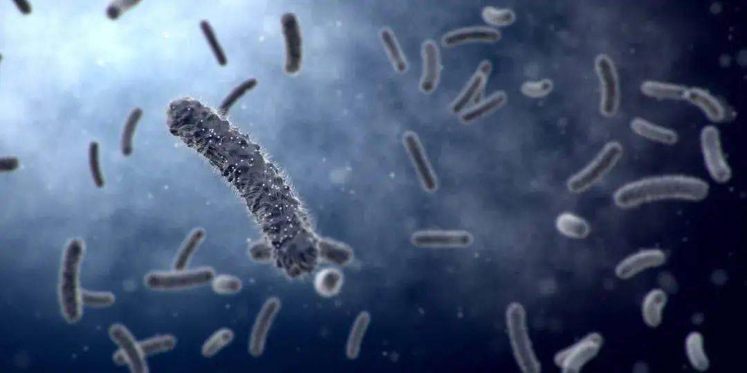 宠儿|解锁广州潮人打卡五大“宠儿”，反手给你一组潮流大片！