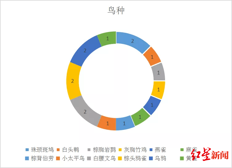 鸟类|两成都市民收集全国“鸟撞玻璃”现象，呼吁关注减少鸟类悲剧