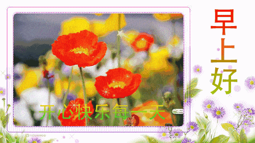 8张最新清晨早上好问候动态鲜花图片推荐 朋友圈最美早安问候语图片