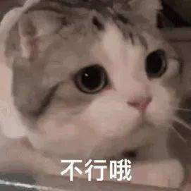 何火宝|又有蛇出没！厦门一10岁男孩独自在家，桌下钻出一条蛇！