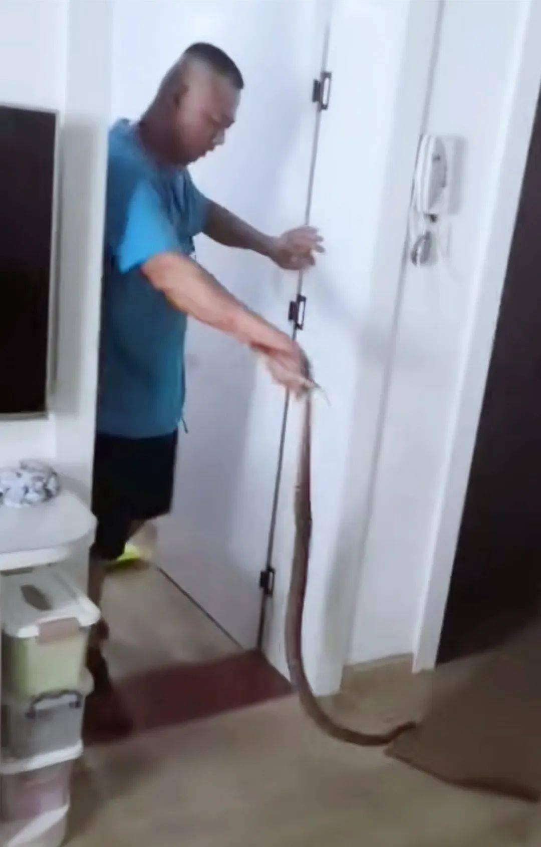 何火宝|又有蛇出没！厦门一10岁男孩独自在家，桌下钻出一条蛇！