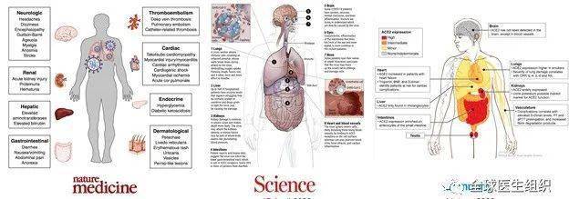 病毒||必看|新冠病毒疾病与糖尿病之间的“难解之缘”