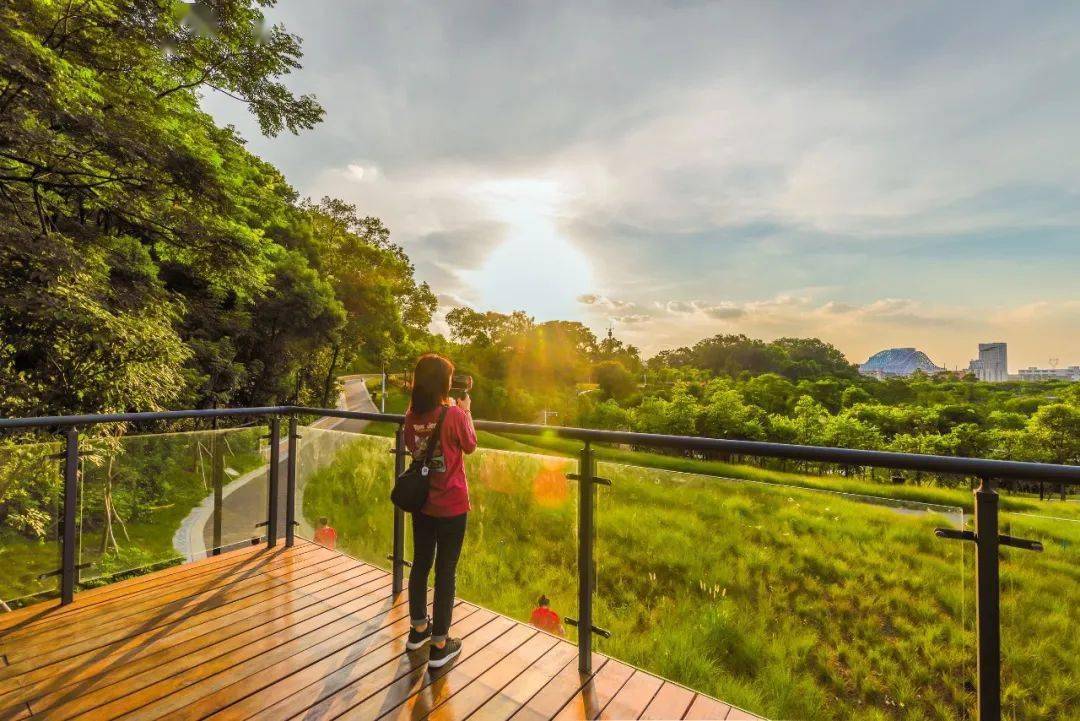 欣赏美景,呼吸新鲜空气吧