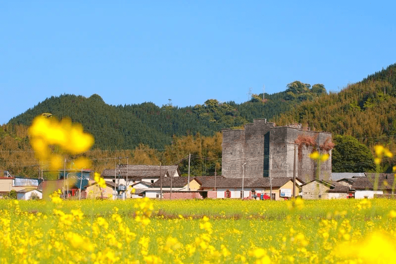 乡村景色也是如此怡人.